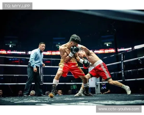 十五运会拳击决赛深圳开战 206名拳手激烈角逐十三枚金牌 十五运会拳击决赛深圳开战 206名拳手激烈角逐十三枚金牌